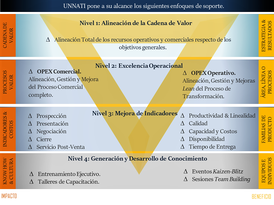 Piramide Niveles de Soporte Piramide Niveles de Soporte